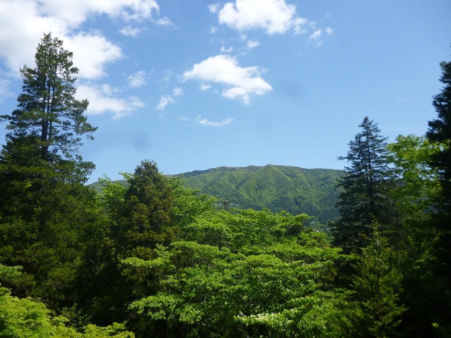 箱根 Kaze No Ne酒店 外观 照片